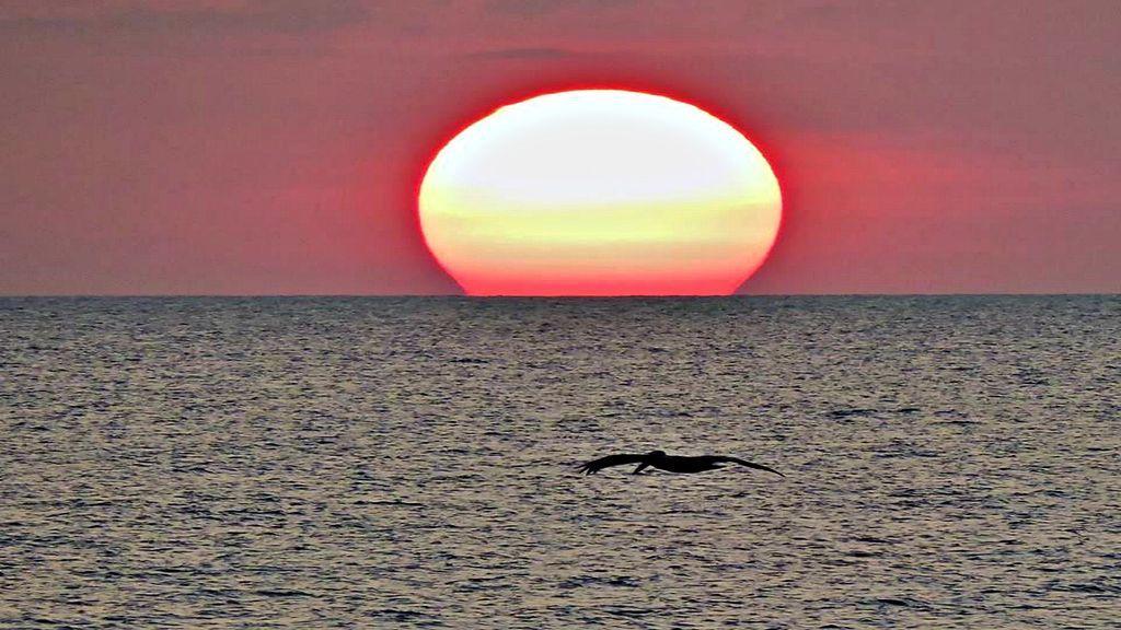 Penthouse Floor 1 Bedroom Resort Condo Direct Oceanfront Wyndham Ocean Walk - Daytona Funland 1908 Daytona Beach Bagian luar foto